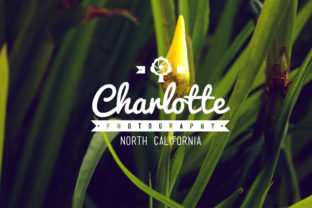 2O Vintage Fotography: A Timeless Resource for Creative Professionals